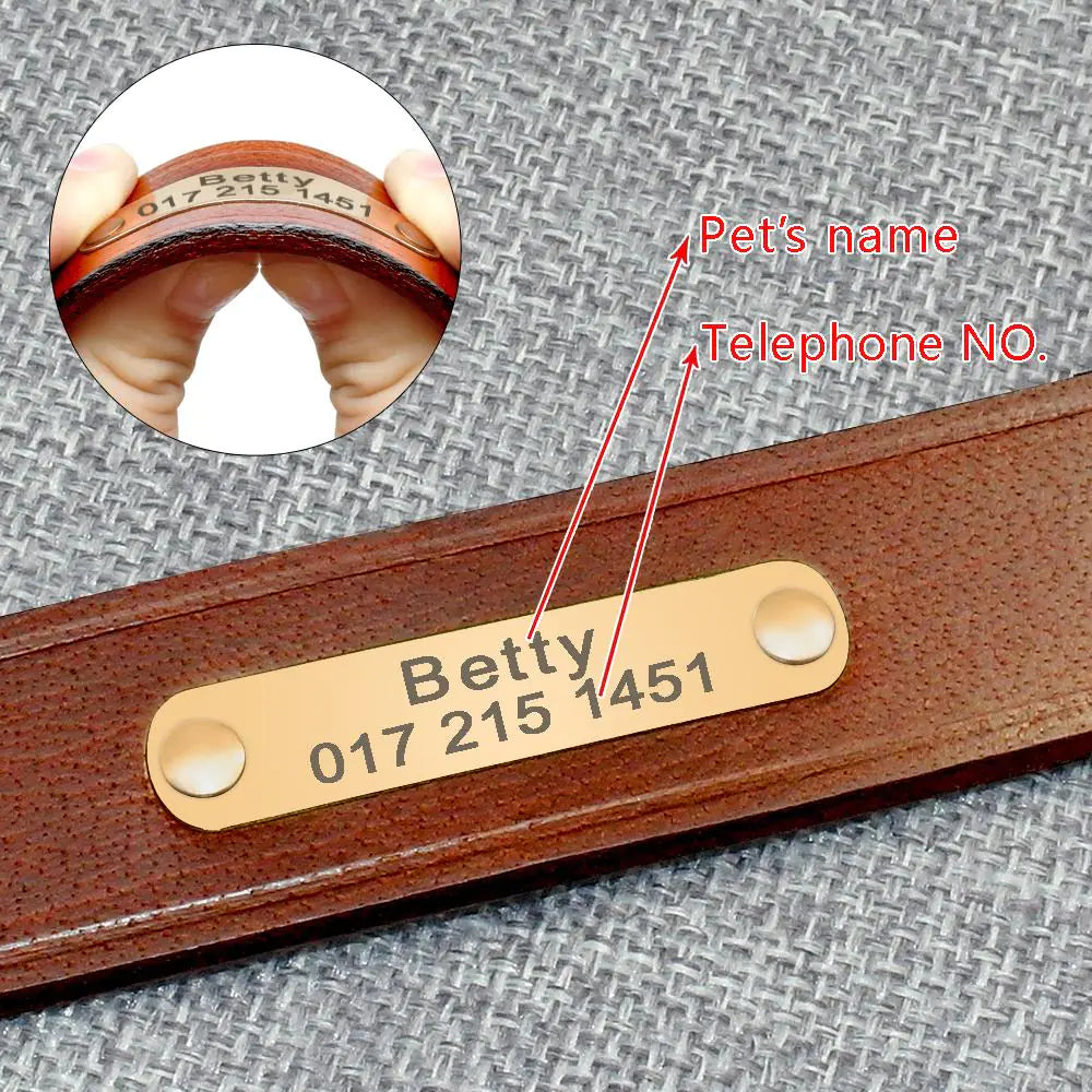 Personalized Dog Collar – Adjustable Strap Close-up