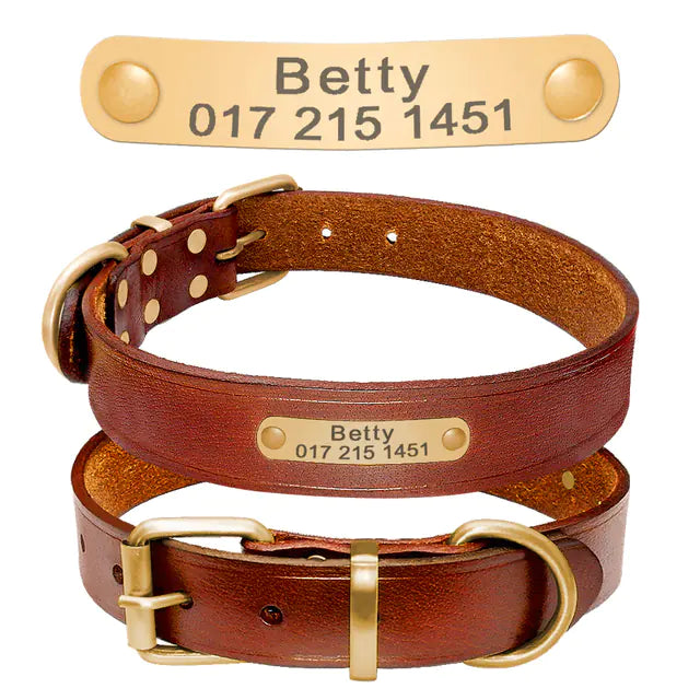 Personalized Dog Collar – Front View